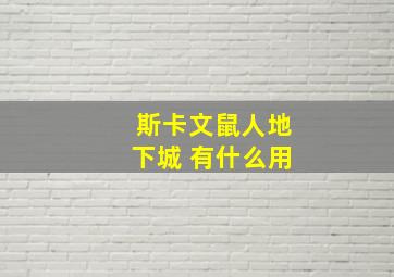 斯卡文鼠人地下城 有什么用